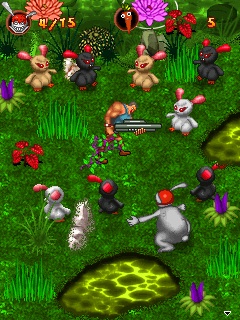 rabbit hunter